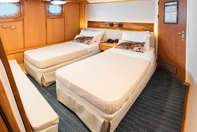 Coral yacht cabins